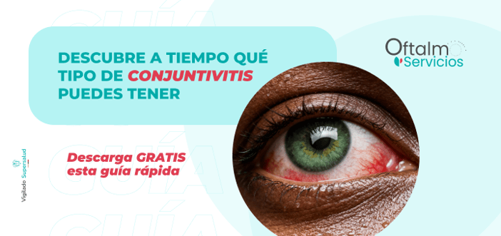 banner-artículos-mv-noviembre